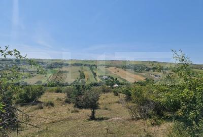 Teren extravilan 1,5 h  pentru investitie