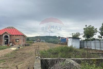 Teren 4,280mp Lapusel / Strada Primaverii - 3