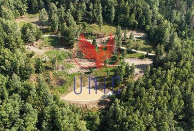 18000 mp de natura pura ,Lupeni, langa Straja - 7