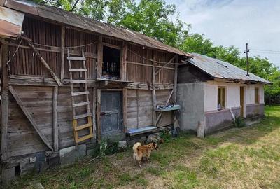 Casă cu 7 camere cu Teren 660 Mp în Corbii Mari - 5
