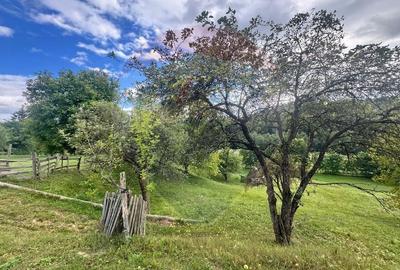 O oportunitate unica in inima naturii -- 6.605 mp in Candesti - 8