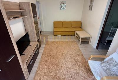 Apartament cu 2 camere semidecomandat, mobilat în Dacia - 4