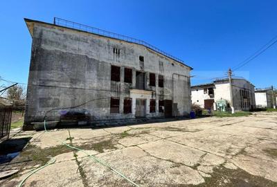 Spațiu industrial, de 16,000 mp, în Vest - 11