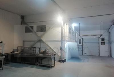 Inchirieri Spatii industriale ILFOV - SUD JILAVA - 9