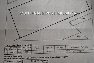 Teren de 935 mp, în Moșoaia - 1