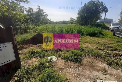 Teren de 5000 mp, în Copăceni - 13