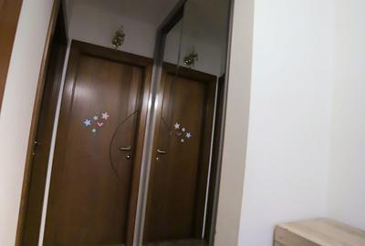 Apartament cu 2 camere decomandat în Scriitorilor - 10