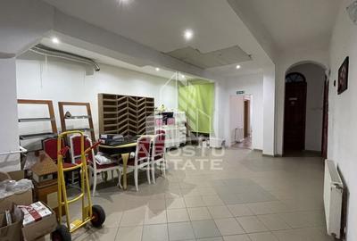 Apartament la parter Chisodei Timisoara Apartament la parter Chisodei Timisoara - 4