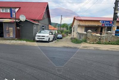 Casă cu 3 camere cu Teren 5000 Mp în Central - 19