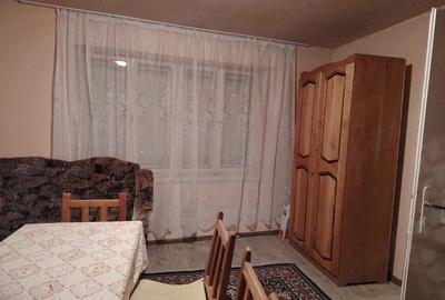 Casă cu 2 camere cu Teren 550 Mp în Bozovici - 5