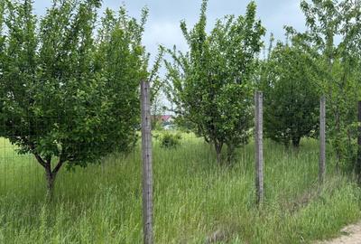 Teren agricol intravilan de 1212 mp, în Miroslava - 6