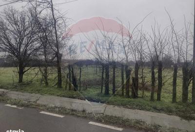 Spațiu comercial, în Cocora - 9