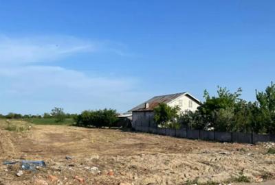 Teren de 8700 mp, în Coșoveni - 2