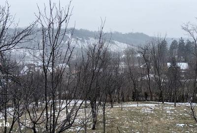 Teren de 4652 mp, în Șotrile - 12