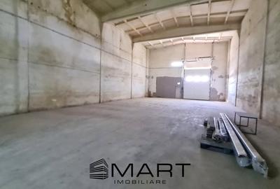 Hala depozitare 270 mp zona Industriala Vest - 3