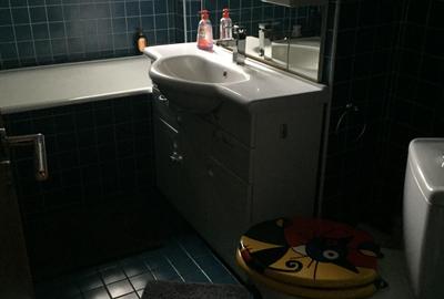 Tineretului Vacaresti Tineretului Vacaresti - 10