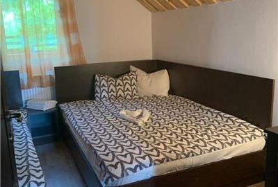 Cabana la munte, Colibita, jacuzzi, foisor - 10