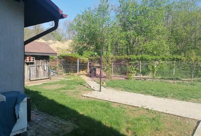 Branesti - Vila de vanzare - 9