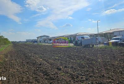 Spațiu comercial, în Tunari - 5