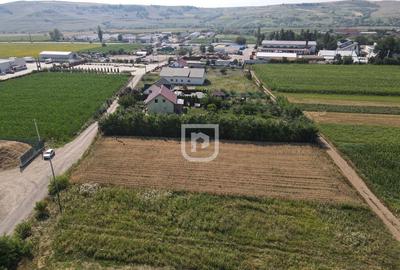 Parcele 1000mp INTRAVILAN | Ilisesti | Bucovina - 1