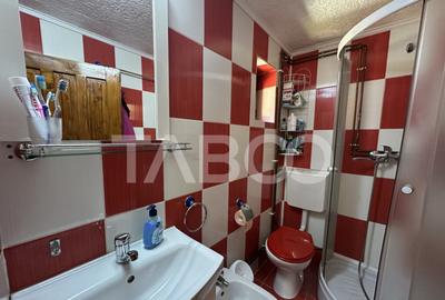 Cabana spatioasa la 5 km de Partia Sureanu complet utilata - 13