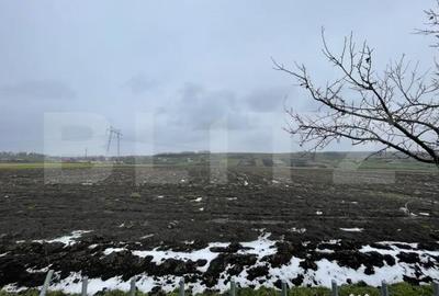 Casă cu 5 camere cu Teren 9300 Mp în Vadu Moldovei - 13