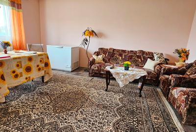 Proprietate Slobozia-Roznov, casa mansardata, teren si livada - 2