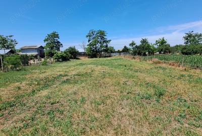 Vand casa de locuit Sp+P+E cu anexe gospodaresti in sat Caldarasti, com.Pogoanele, Buzau - 7