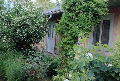 Casă cu 7 camere cu Teren 3420 Mp în Miorcani - 4