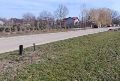 Spațiu comercial, în Dascălu - 2