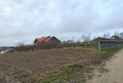 Vand casa..1 h de teren - 4