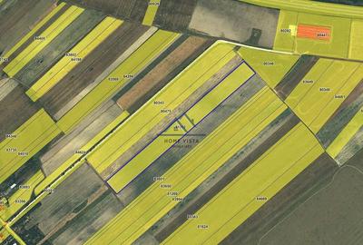 Teren agricol extravilan Rate?ti, Arge? - 3