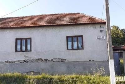 Teren de 2700 mp, în Tăgădău - 4