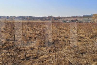 Teren de 1550 mp, în Ilieni