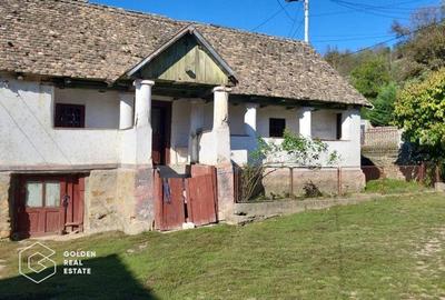 Casa cu 3 corpuri de cladire, localitatea Lipova - 8