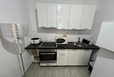 Apartament cu o camera zona Lunei - 5