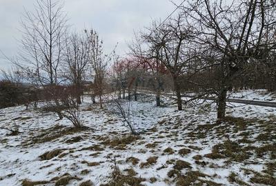 Teren 10,000mp Rada?eni / ?oseaua DN2-E85, jude?ul S... - 5