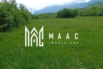 Teren intravilan de 2000 mp, în Sebeșu de Jos - 3