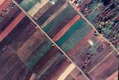 Teren agricol intravilan de 2900 mp, în Fârdea - 4
