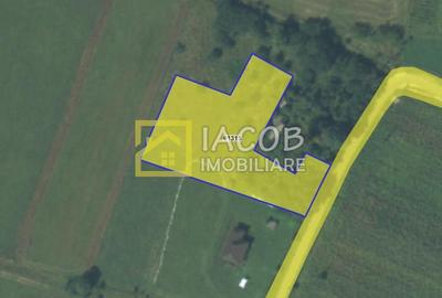 Teren Construcții intravilan de 3350 mp, în Petricica - 1