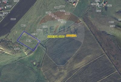 Teren agricol extravilan de 11600 mp, în Câmpenești - 1