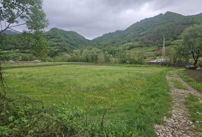 Spațiu comercial, în Rodna - 3