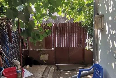 Casă cu 3 camere cu Teren 150 Mp în Pantelimon - 7