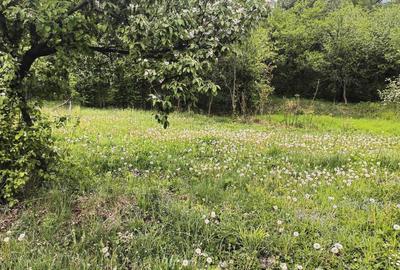 Teren de 1253 mp, în Ariceștii Zeletin - 2