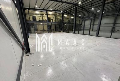 Hala | 250 MP | Teren 11.000 mp | - 7