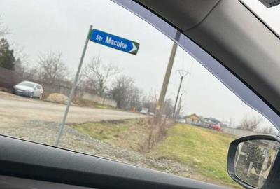 Teren de 5000 mp, în 1 Decembrie - 2