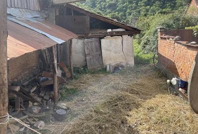 Casă cu 2 camere în Borlova - 4