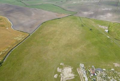 Teren intravilan de 26,606mp Sacalaz - 13