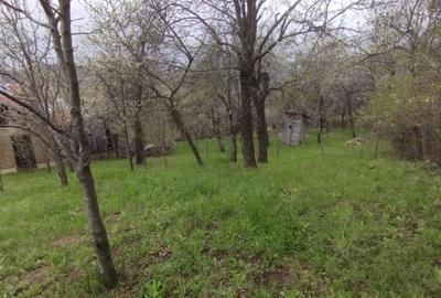 Casă individuală cu 3 camere cu Teren 1518 Mp în Șotrile - 13