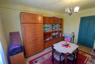 Casă individuală cu 8 camere cu Teren 3800 Mp în Răchitova - 27